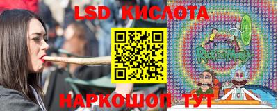 амф Кулебаки