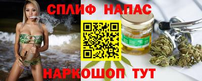 прущие грибы Лесосибирск