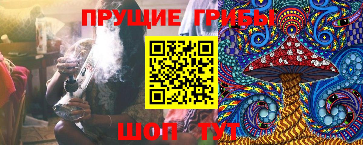 Галлюциногенные грибы мухоморы  Вход с VPN  Камышин 