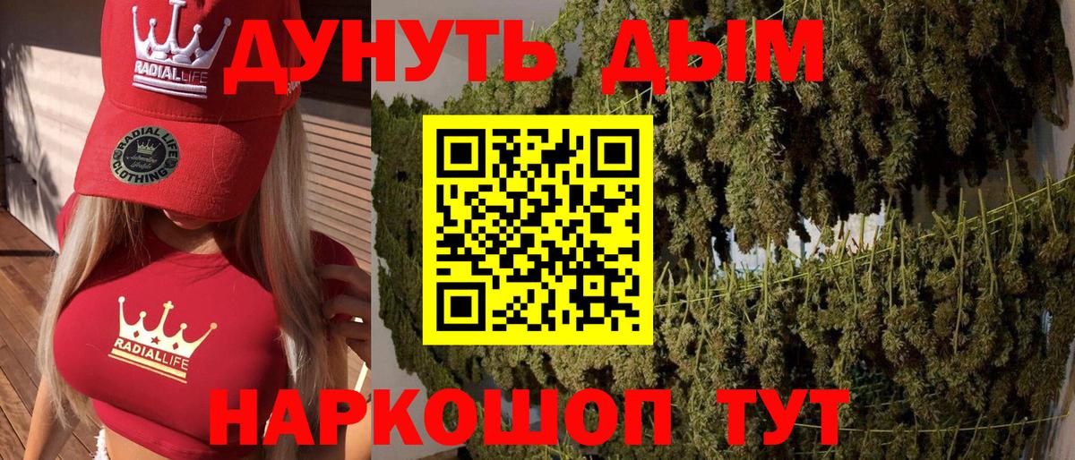 Бошки марихуана план  Вход с VPN  Камышин  МАРИХУАНА семена 